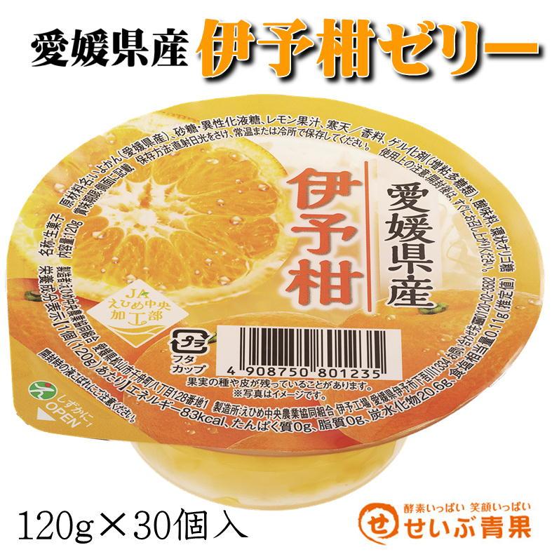 伊予柑ゼリー 愛媛県産 120g×30個入 いよかん : せいぶ青果 - 通販