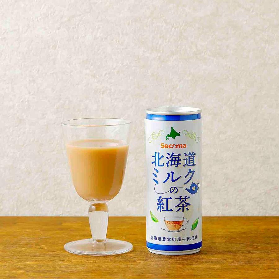 セイコーマート Secoma 北海道ミルクの紅茶 245g 30本入 セコマ 紅茶