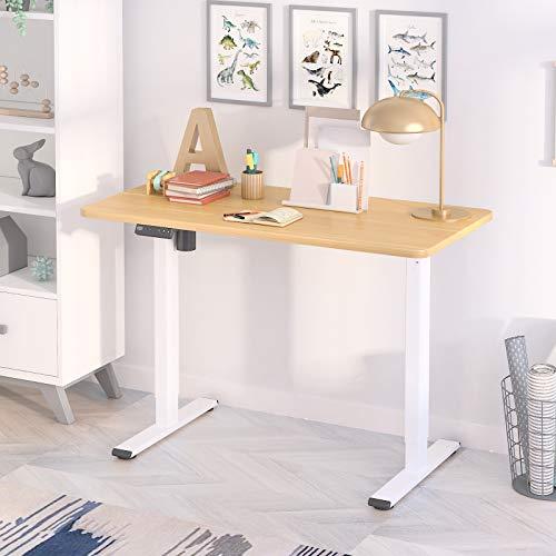 FLEXISPOT 電動式スタンディングデスク(幅120×奥行60，メモリー機能