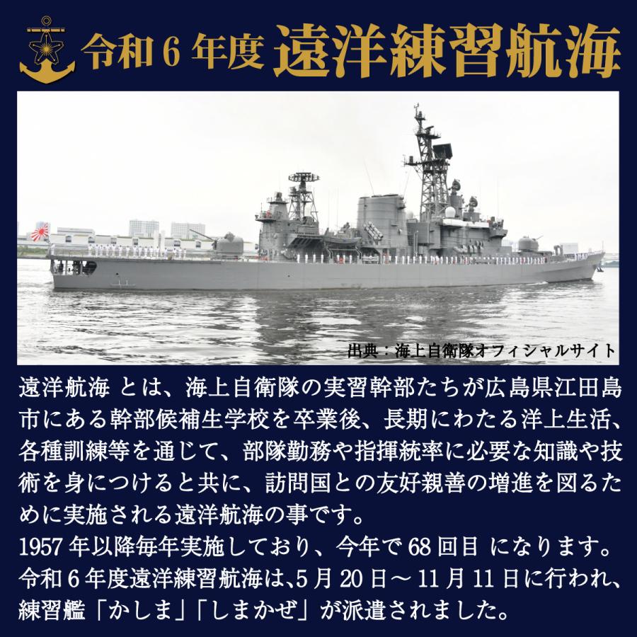 自衛隊 ワッペン 海上自衛隊 練習艦隊遠洋航海 2024年記念 ベルクロ付