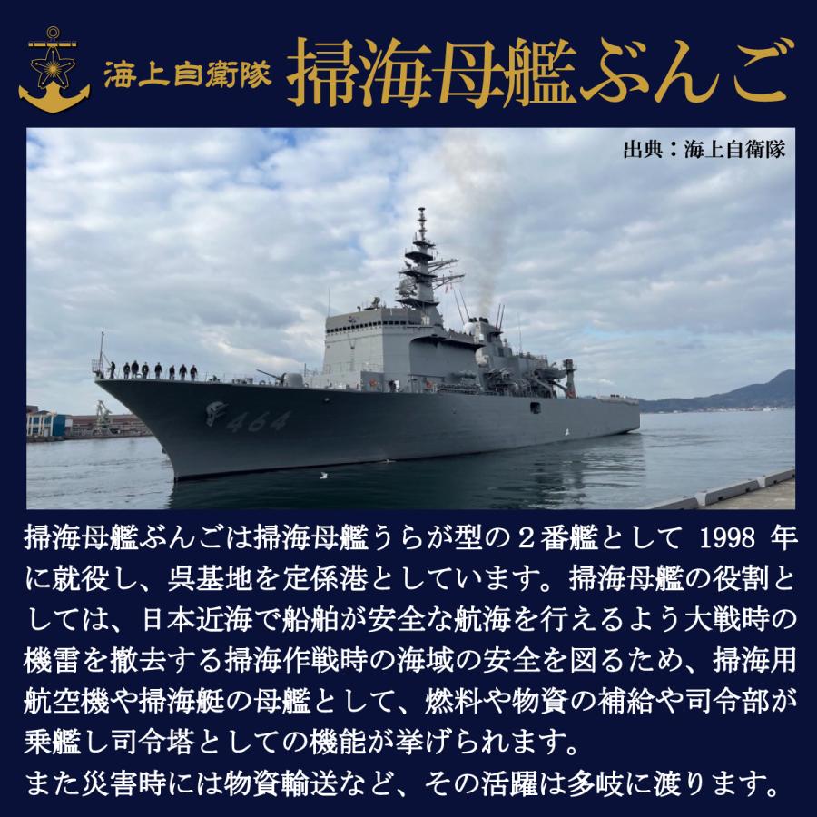 部隊識別コイン メダル 海上自衛隊 掃海母艦ぶんご チャレンジコイン