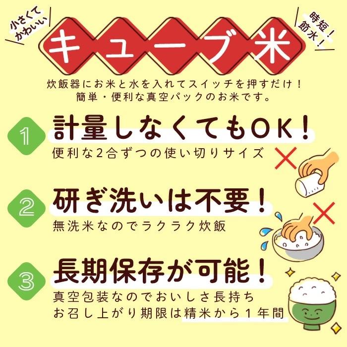 令和7年度米 山形県産 つや姫 無洗米つや姫 キューブ米300g（2合