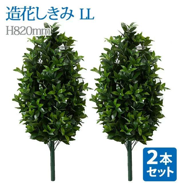 あす楽対応  【MFCDVUFU8XL】 限定デザイン