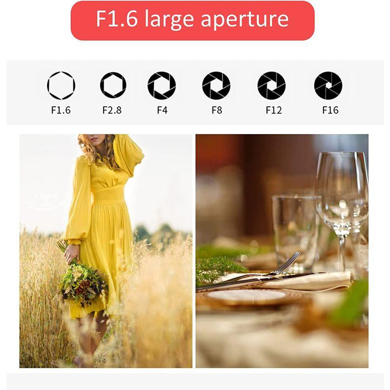 50mm F1.6 Eマウントチルトシフトレンズ プロの画像処理 歪み補正付き手動フルフレームレンズ Sony A9A7シリーズカメラ用 プロの画像処理 F1 Eマウントチルトシフトレンズ 歪み補正付き手動フルフレームレンズ Sony A9A7シリーズカメラ用
