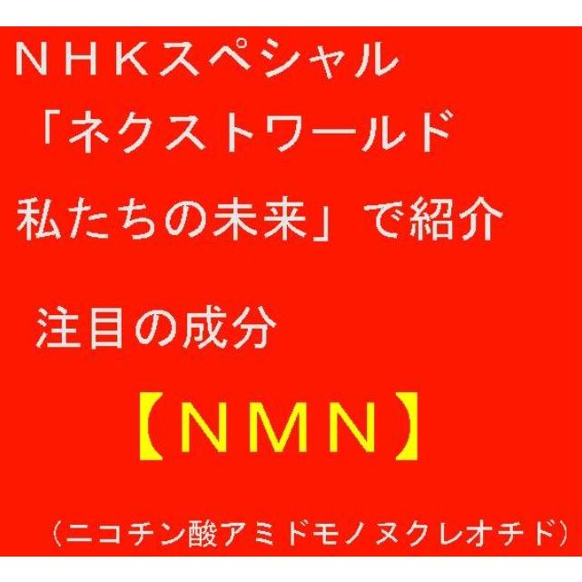 エンチーム NMN2250 ニコチンアミドモノヌクレオチド 45カプセル 2個セット｜seijindo-store｜07