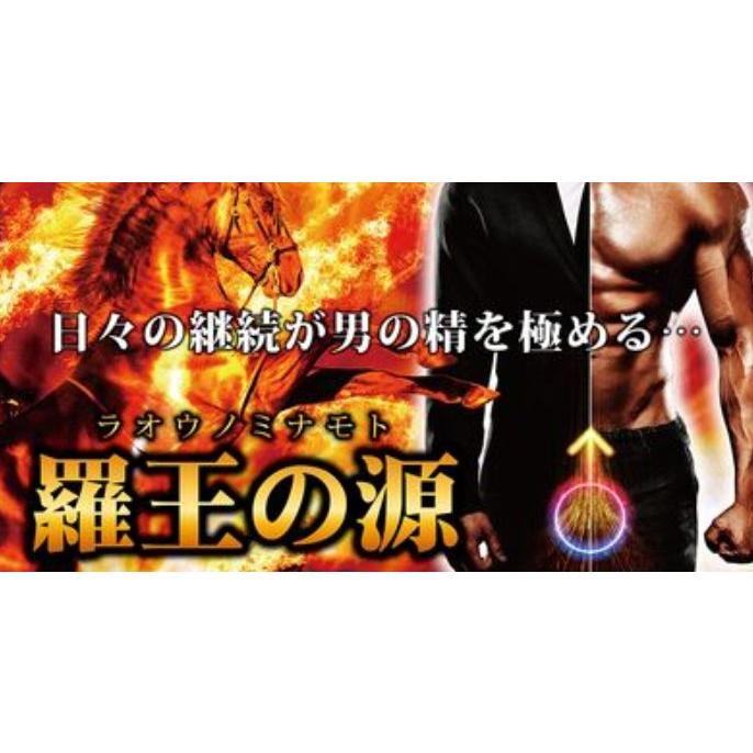 羅王の源 60粒 冬虫夏草 すっぽん 西洋人参 枸杞の実 韮の種子 : クスリの誠仁堂 - 通販 - Yahoo!ショッピング