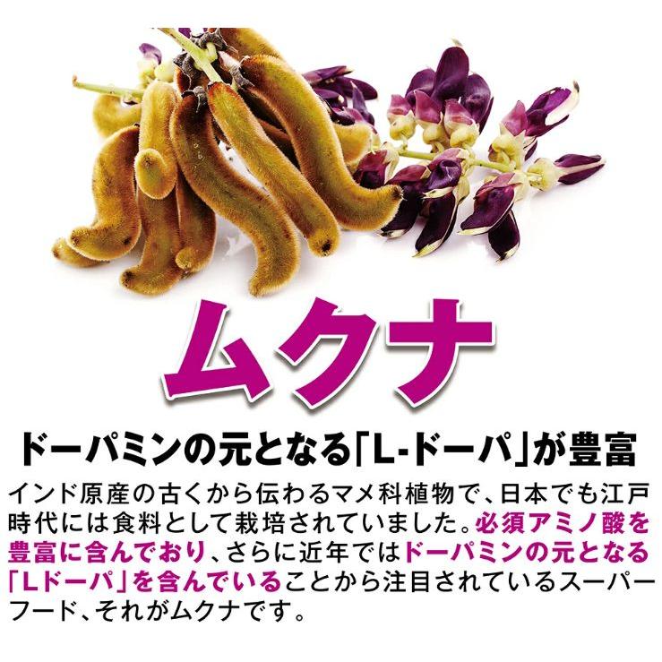 硬 HAGANE スーパーハード 60粒 : クスリの誠仁堂 - 通販 