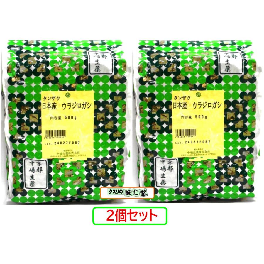 裏白柏 ウラジロガシ うらじろがし ウラジロガシ茶 国産 中嶋生薬 500g