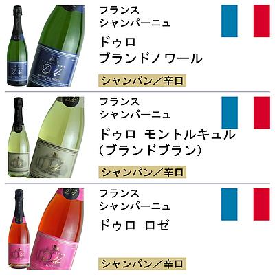 【送料込み】1本あたり3，300円！成城石井直輸入オールシャンパン6本セット 750ml×6本 フランス シャンパーニュ 750ml：1本 ジョセフ デプロワ ドゥロ ブランドブラン ブランドノワール