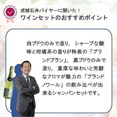 【送料込み】1本あたり3，300円！成城石井直輸入オールシャンパン6本セット 750ml×6本 フランス シャンパーニュ 750ml：1本 ジョセフ デプロワ ドゥロ ブランドブラン ブランドノワール