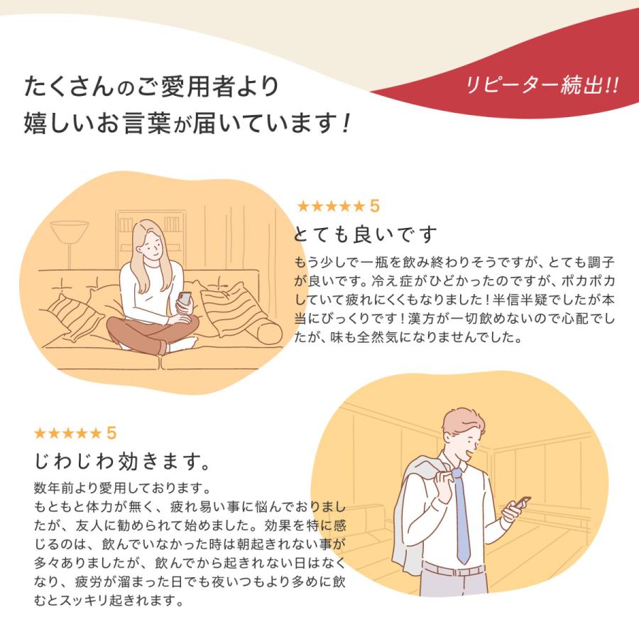 正官庄 【正官庄 日本公式】紅参タブレット 120粒 (120粒×1個 正官庄 【正官庄 日本公式】紅参タブレット 120粒 (120粒×1個