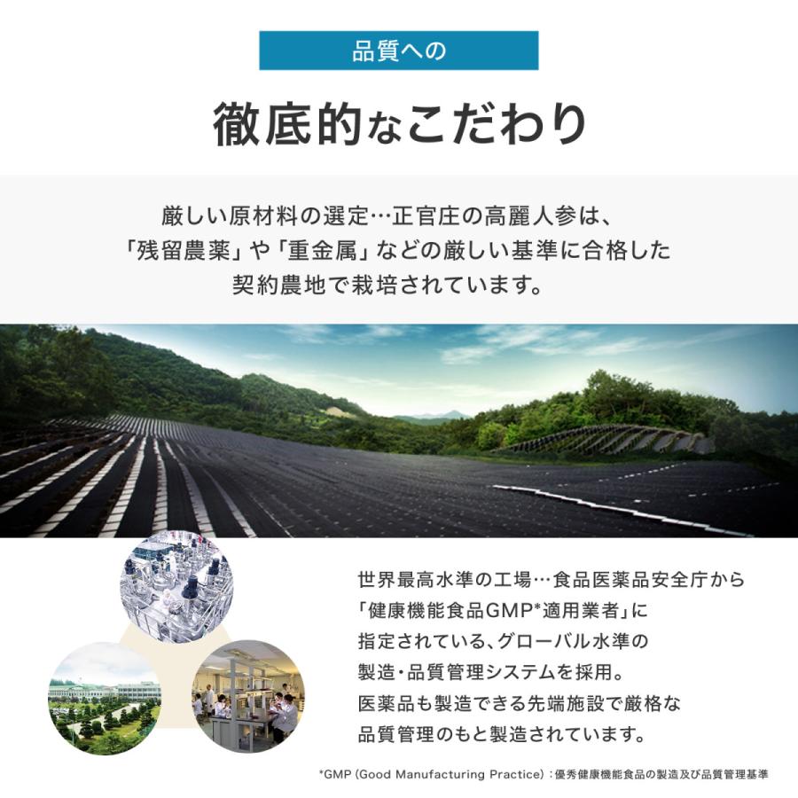 正官庄 【正官庄 日本公式】紅参タブレット 120粒 (120粒×1個 正官庄 【正官庄 日本公式】紅参タブレット 120粒 (120粒×1個