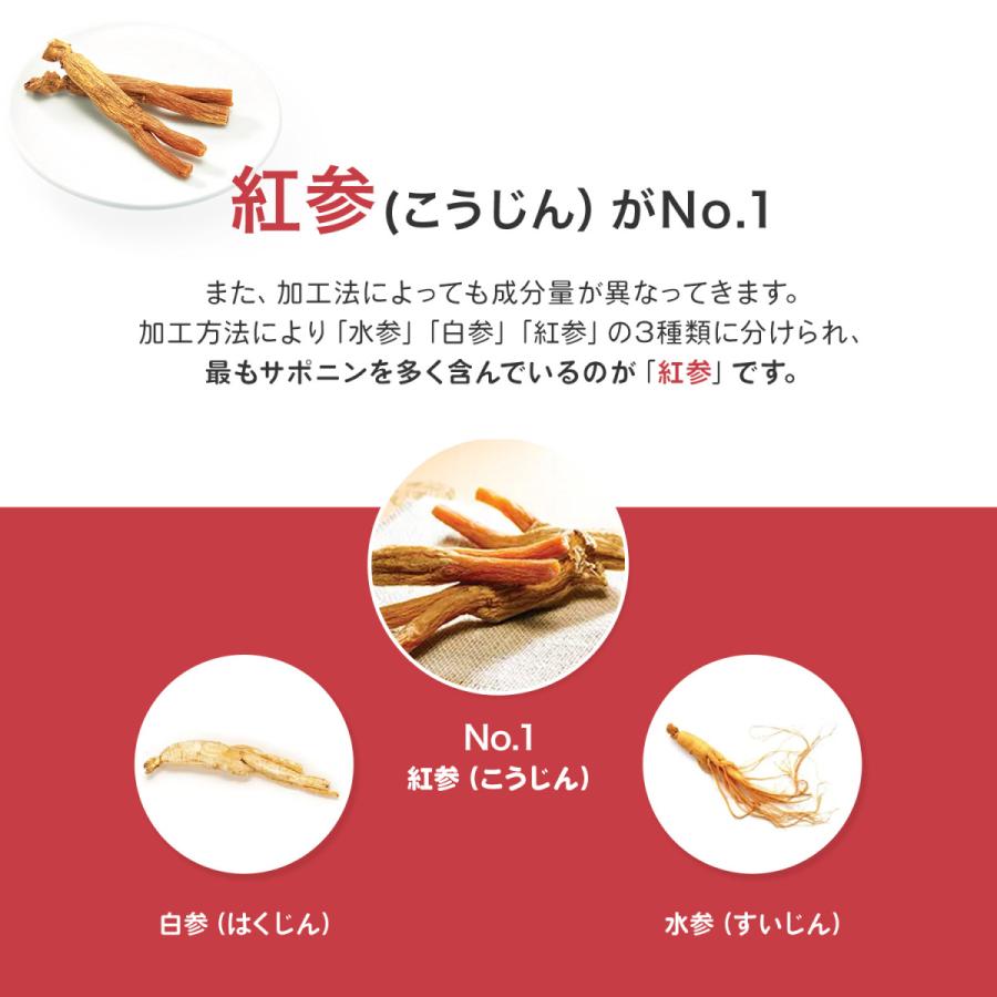 正官庄 【正官庄 日本公式】紅参精エブリタイム 2箱 (10ml×60包 正官庄 【正官庄 日本公式】紅参精エブリタイム 2箱 (10ml×60包