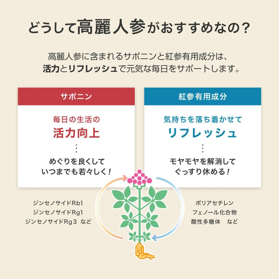 正官庄 【正官庄 日本公式】紅参エキス「天」(200g)│正官庄(ジョン