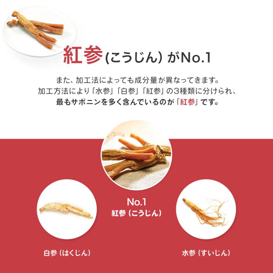 正官庄 【正官庄 日本公式】紅参精エブリタイムV (バリュー) 2箱