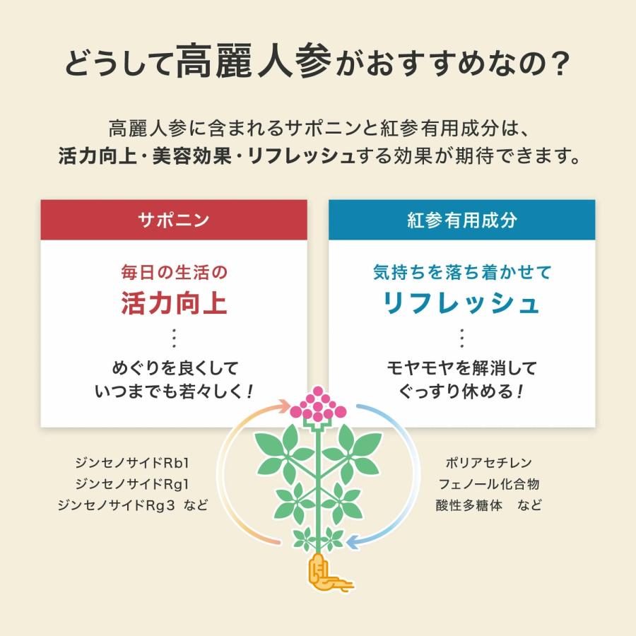 正官庄 【正官庄 日本公式】紅参エキス茶 (3g×30包)│正官庄(ジョン