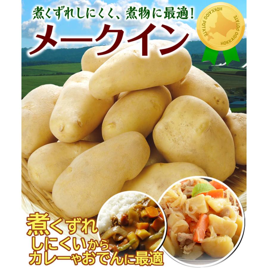 じゃがいも 10kg メークイン 新物 北海道産 送料無料 食品 : 食みらい