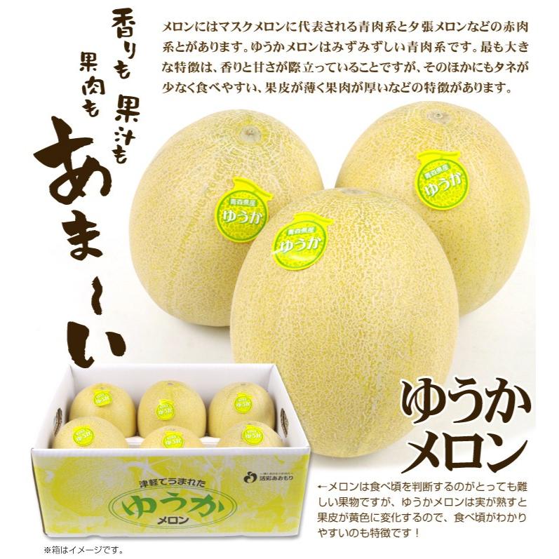 メロン 食品 青森産 ご家庭 ゆうかメロン 約5kg 1組 冷蔵便 メロン 国華園 F 食みらい 国華園 通販 Yahoo ショッピング