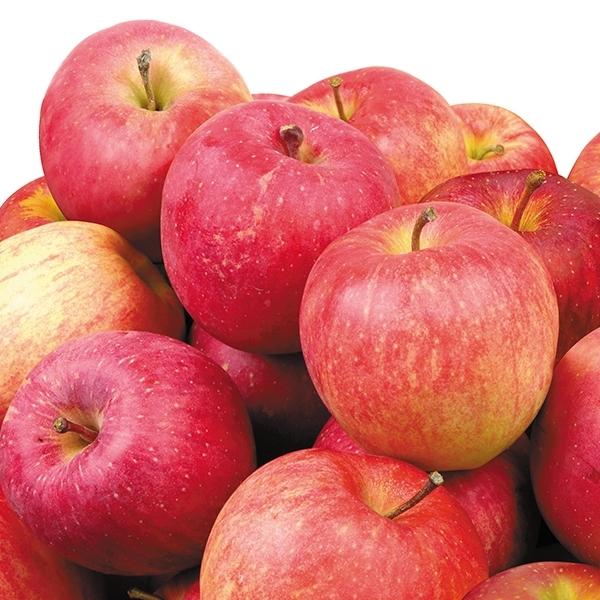 りんご 赤りんご サンふじ 早生 ふじ 北斗 スターキング ギガランキングｊｐ