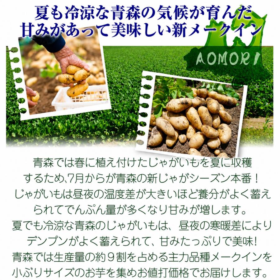 じゃがいも 10kg 青森産 メークイン【小玉】 送料無料 食品 : 食みらい