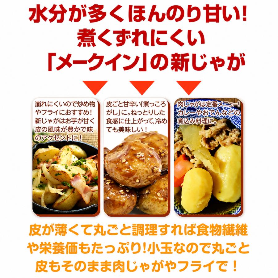 じゃがいも 10kg 青森産 メークイン【小玉】 送料無料 食品 : 食みらい