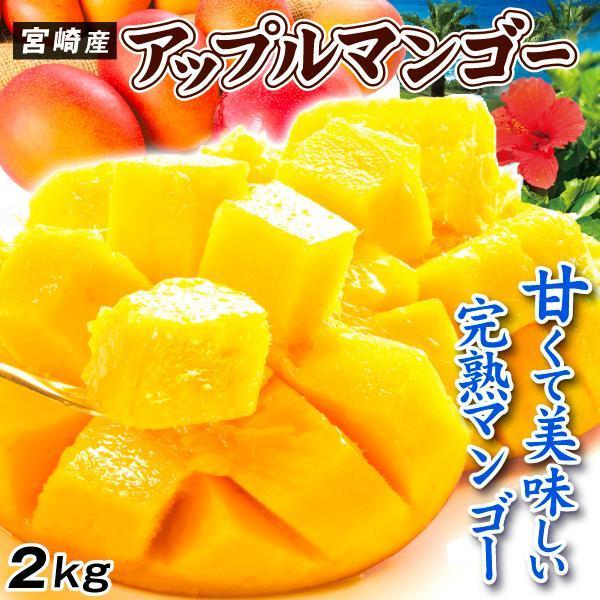 マンゴー 2kg ふぞろいアップルマンゴー 宮崎産 宮崎マンゴー 芒果