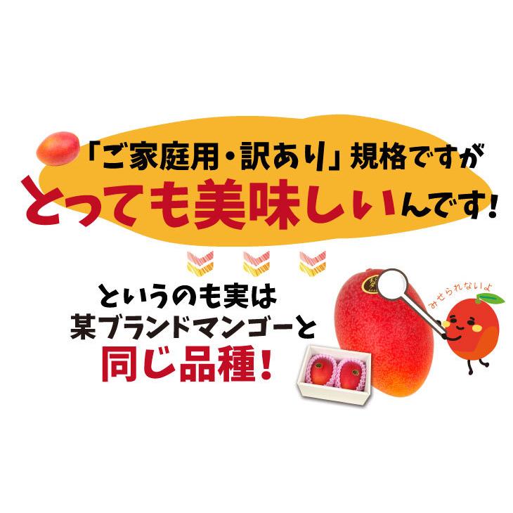 マンゴー 2kg ふぞろいアップルマンゴー 宮崎産 4〜16玉 ご家庭用 太陽のタマゴと同じ品種 宮崎マンゴー 南国フルーツ 送料無料 食品｜seikaokoku｜03