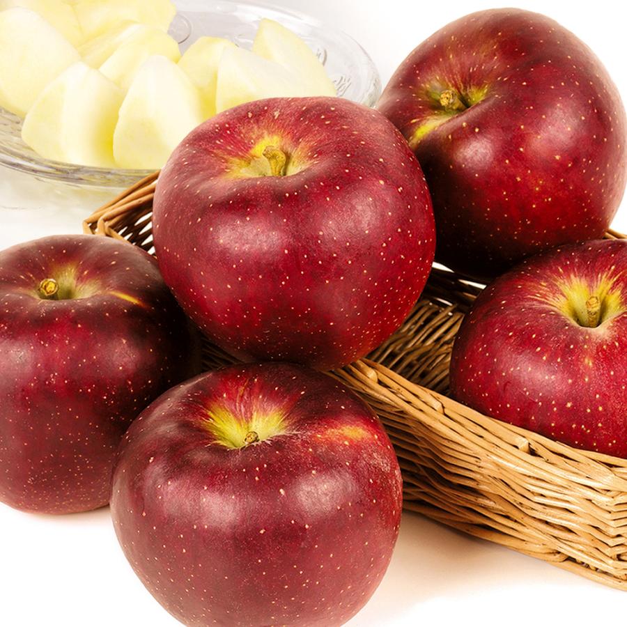 りんご 10kg 秋映 長野産 ご家庭用 送料無料 食品 : 食みらい・国華園