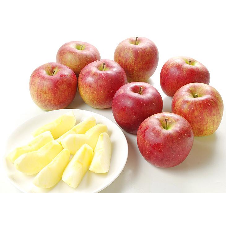 最大88%オフ! 10kg 国華園 林檎 フルーツ食品 りんご 24〜56玉 シナノスイート 最大88%オフ! 10kg 国華園 林檎 フルーツ食品 りんご 24〜56玉 シナノスイート