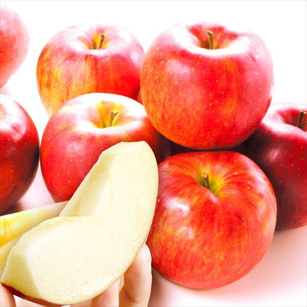 りんご 10kg シナノスイート 青森産 ご家庭用 送料無料 食品 : 食