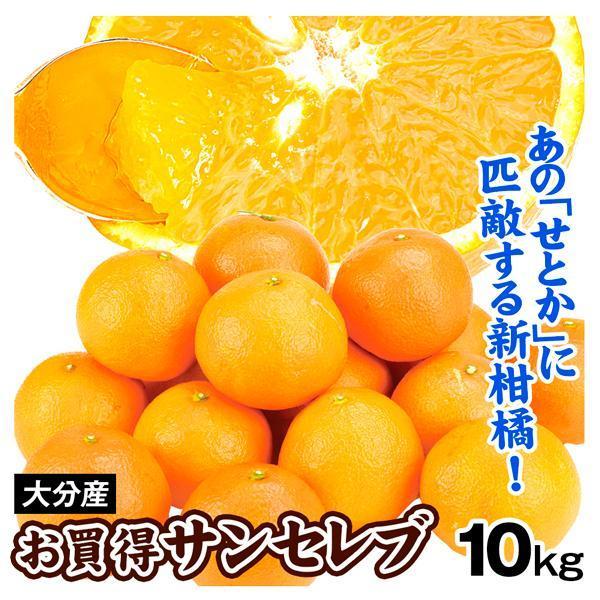 みかん 10kg お買得 サンセレブ 大分産 送料無料 食品 : 食みらい・国