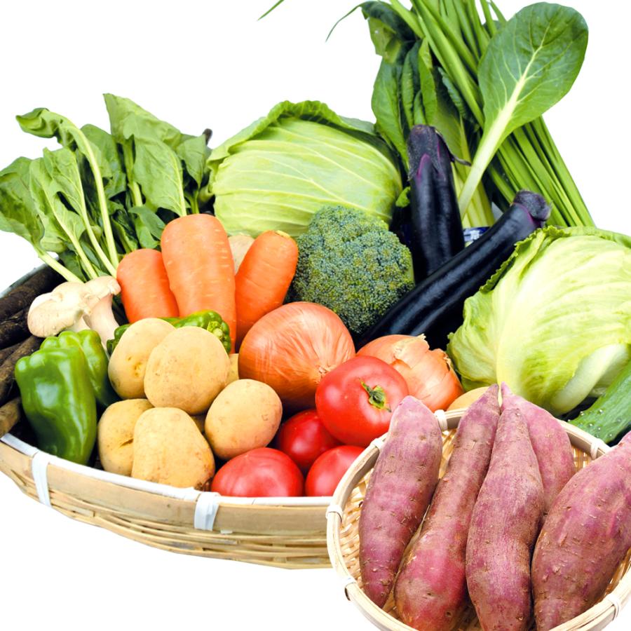 バイヤーおまかせ！15品目の野菜セット 1箱 紅はるかが必ず入る 送料