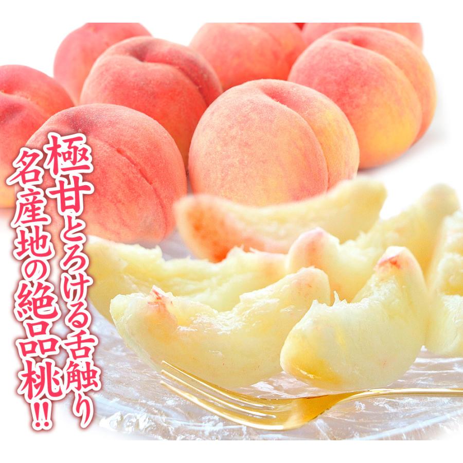 もも 1.5kg 笛吹の桃【特大】山梨産 送料無料 食品 : 食みらい・国華園