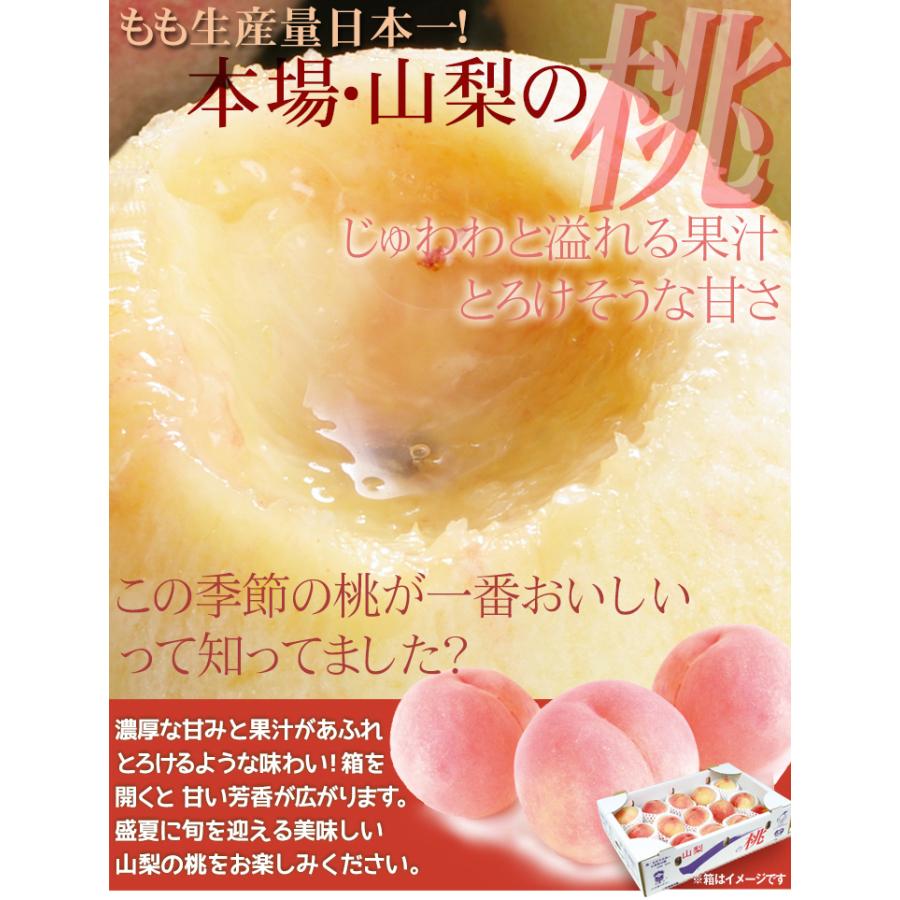 もも 5kg ご家庭用 山梨の桃 山梨産 送料無料 食品 : 食みらい・国華園