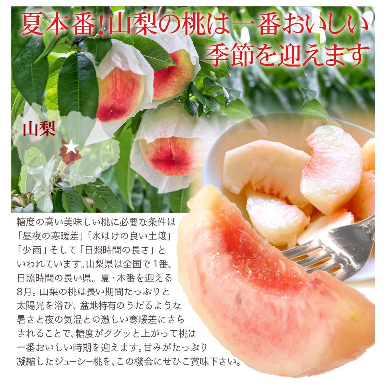 もも 5kg ご家庭用 山梨の桃 山梨産 送料無料 食品 : 食みらい・国華園