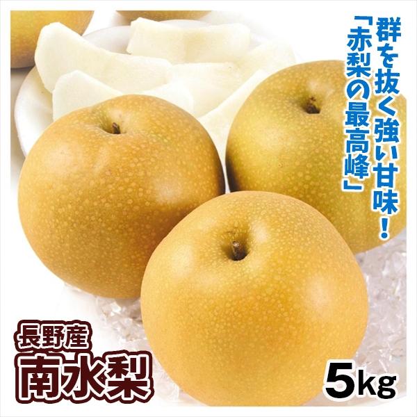 梨 長野産 南水梨 5kg ご家庭用 なんすい 希少品種 なし 和梨 果物 フルーツ 国華園 F 食みらい 国華園 通販 Yahoo ショッピング