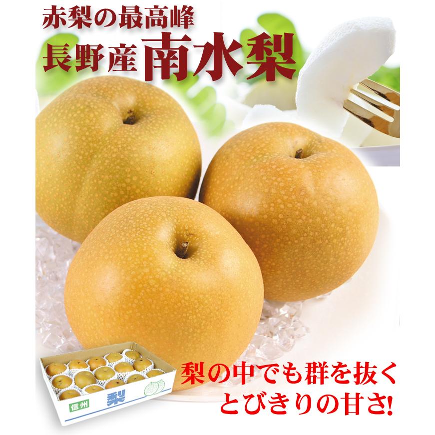 梨 長野産 南水梨 5kg ご家庭用 なんすい 希少品種 なし 和梨 果物 フルーツ 国華園 F 食みらい 国華園 通販 Yahoo ショッピング