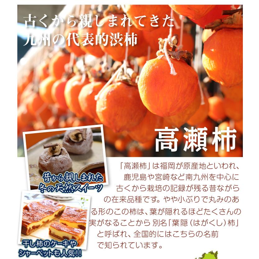 ‼️リピーター‼️干し柿　干柿　箱込み10kg 柿 10kg 高瀬柿【干柿用渋柿】 熊本産 送料無料 食品 爆買 : 食みらい
