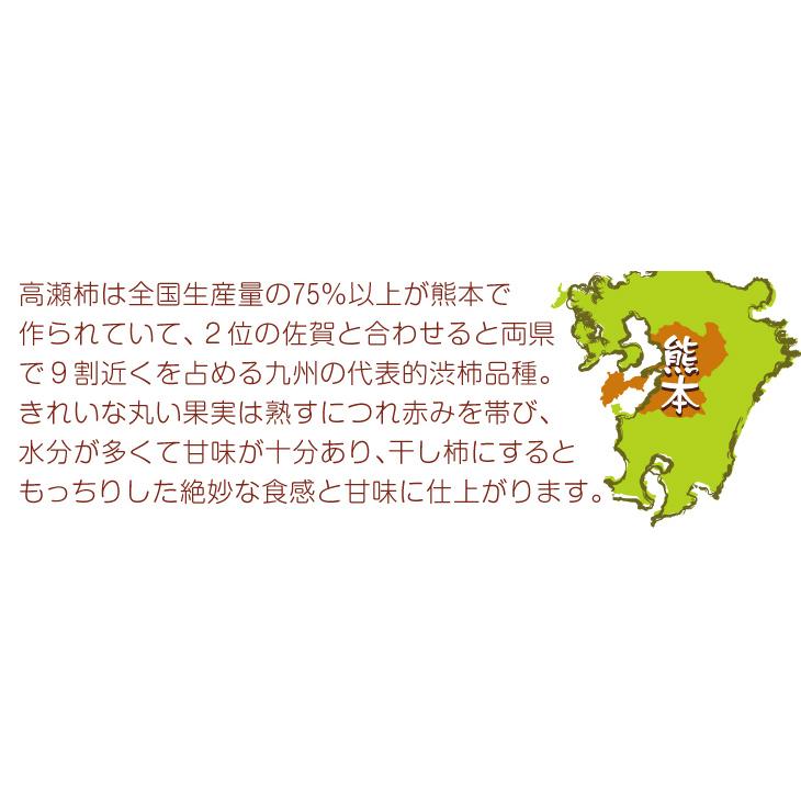 柿 10kg 高瀬柿【干柿用渋柿】熊本産 ご家庭用 送料無料 食品