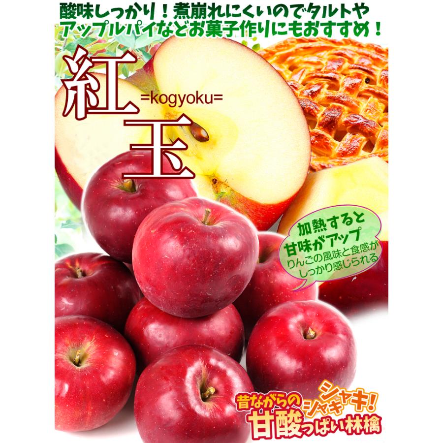 りんご 10kg 紅玉 青森産 ご家庭用 送料無料 食品｜seikaokoku｜02