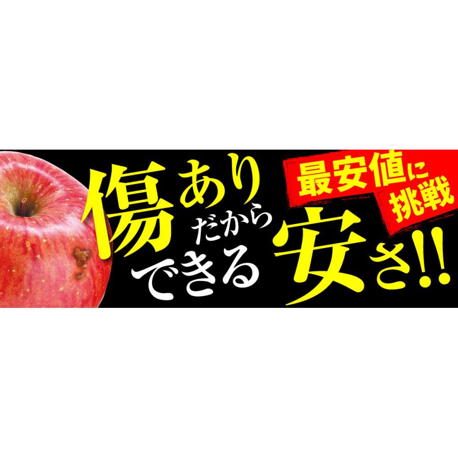 りんご 10kg 傷あり 美味しいサンふじ 青森産 送料無料 食品 : 食
