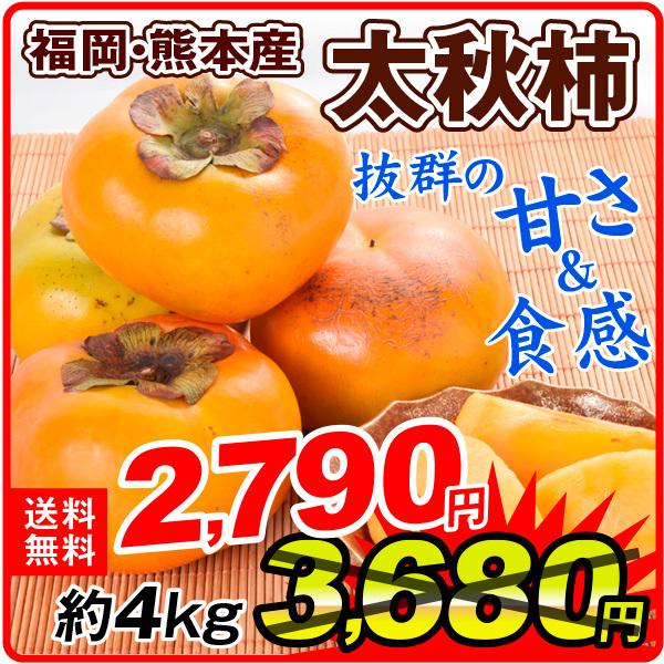 柿 大特価 熊本 福岡産 ご家庭用 約4kg 高品質 太秋 食品 流行 送料無料