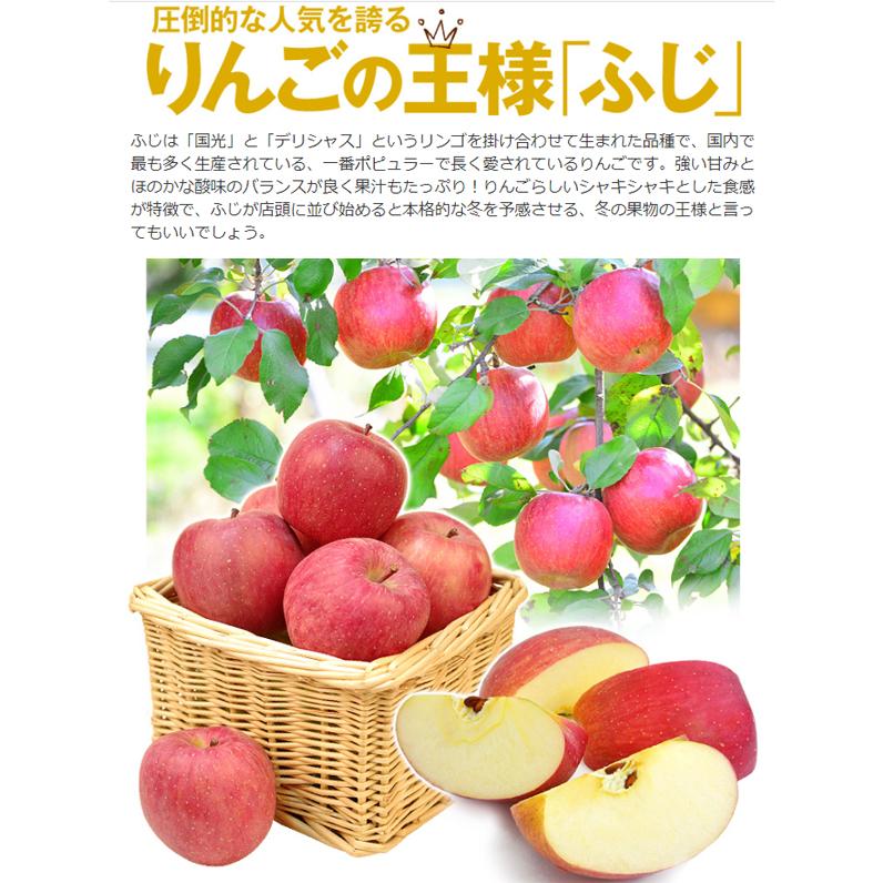 りんご 10kg 山形産 みちのくふじ りんご(24〜54玉)産地直送 リンゴ サンふじ 2022年 新物 国華園(11月下旬より発送予定) :f81927:食みらい・国華園 - 通販 - Yahoo!ショッピング りんご 10kg 山形産 みちのくふじ りんご(24〜54玉)産地直送 リンゴ サンふじ 2022年 新物 国華園(11月下旬より発送予定) :f81927:食みらい・国華園 - 通販 - Yahoo!ショッピング