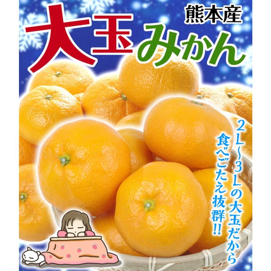 みかん 9kg 熊本産 ご家庭用 大玉みかん 送料無料 食品 :f81979:食みらい・国華園 - 通販 - Yahoo!ショッピング みかん 9kg 熊本産 ご家庭用 大玉みかん 送料無料 食品 :f81979:食みらい・国華園 - 通販 - Yahoo!ショッピング