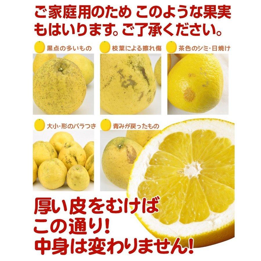 柑橘 愛媛産 夏文旦 7 5kg 送料無料 食品 F012 食みらい 国華園 通販 Yahoo ショッピング