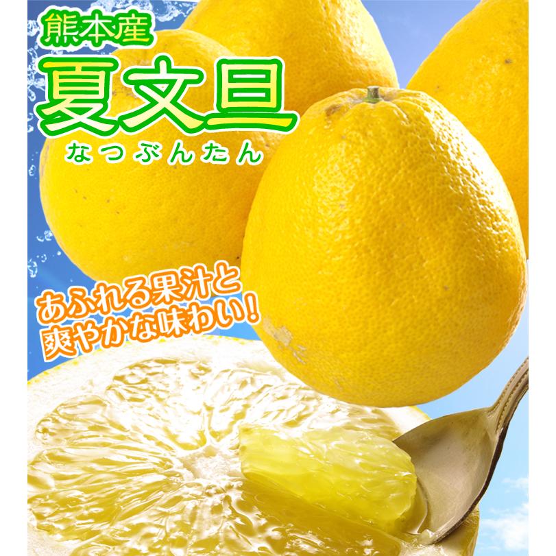 柑橘 愛媛産 夏文旦 7 5kg 送料無料 食品 F012 食みらい 国華園 通販 Yahoo ショッピング