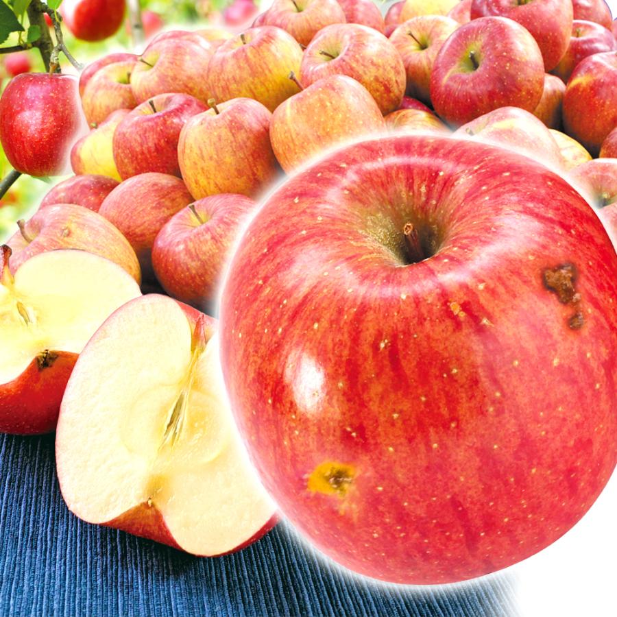 りんご 青森産 高い素材 訳あり サンふじ 10kg 24 56玉 ご家庭用 林檎 国華園林檎 傷あり 国華園 ふじ フルーツ 果物