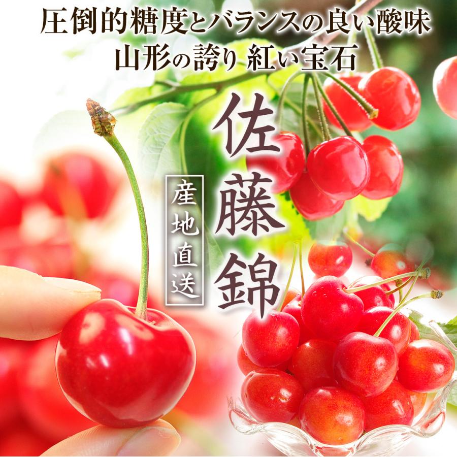さくらんぼ 山形産 佐藤錦 １kg1組 サクランボ 桜桃 F028 食みらい 国華園 通販 Yahoo ショッピング