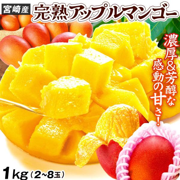 マンゴー 1kg ふぞろいアップルマンゴー 宮崎産 芒果 太陽のタマゴと同じ品種 完熟《5月下旬より発送開始》送料無料 食品（Yahoo!・食みらい・国華園）