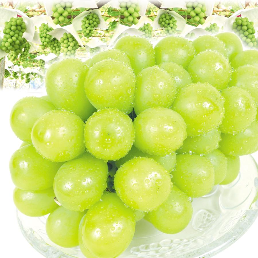 ぶどう 山梨産 大特価 シャインマスカット 2房 (約1.2kg) 大房 ぶどう 山梨産 大特価 シャインマスカット 2房 (約1.2kg) 大房
